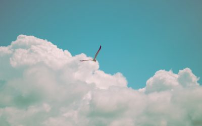 Embracing Carefreedom® Living